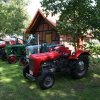 foto264